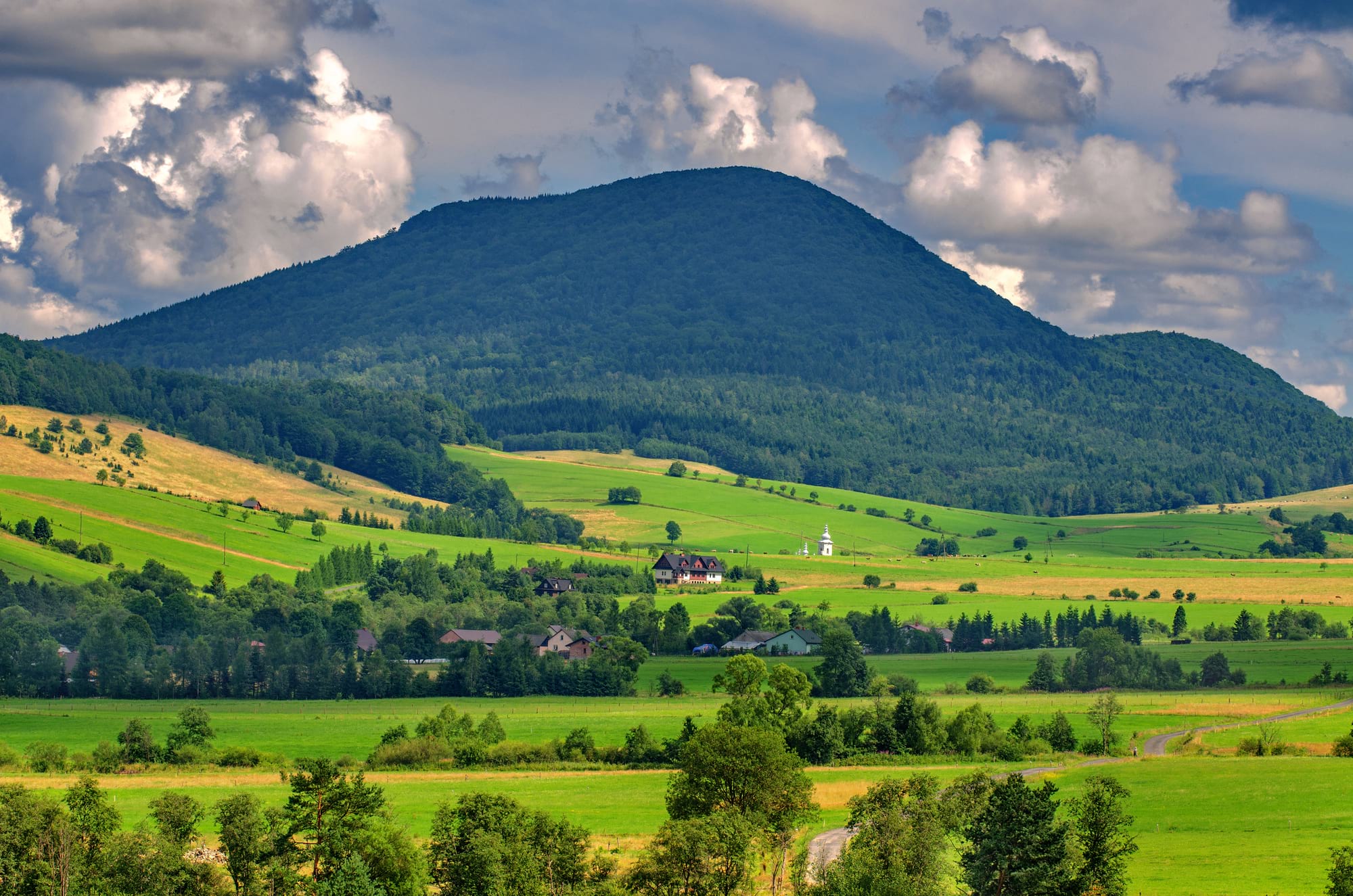 widok na góry